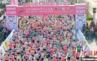 2025无锡马拉松鸣枪起跑 35000名选手“人在画中跑”