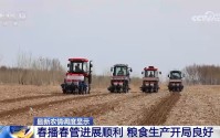 春播春管进展顺利 粮食生产开局良好
