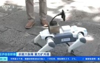 导游机器人、外卖机器狗上岗 5G-A开启“千兆上行”时代