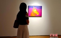 法国当代艺术家个展亮相湖南 促中法文化交流