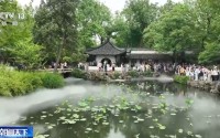 文化中国行丨苏州园林：“咫尺乾坤”邂逅千年文脉