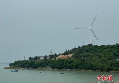 浙江大陈岛，生态护海“养”出共富海岛