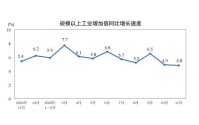 国家统计局：11月份规模以上工业增加值增长4.8%,国家统计局：11月份规模以上工业增加值增长4.8%