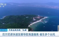 8月已生成10个台风！今年台风，为何如此活跃？