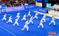 陕西省第四届武林功夫大会落幕 中外选手以武为桥共促文化交流