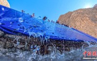 金沙江上游5座水电站开展增殖放流活动 超68万尾本土珍稀鱼苗开启生命之旅