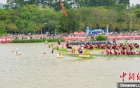 粤港澳大湾区50余支龙舟队广州南沙竞速