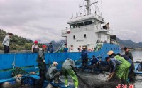 福建宁德活水鱼出口迎高峰 前4月出口活水鱼超千吨