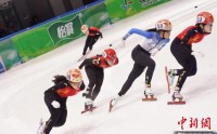 21支代表队角逐2024—2025赛季全国短道速滑冠军赛