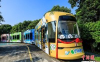 国宝迎全运 大熊猫主题有轨电车在广州首发国宝迎全运 大熊猫主题有轨电车在广州首发