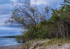 豫园股份首亏背后：风险筑底蓄势，转型修复可期