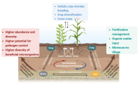 中国农大科研团队揭示土壤“越种越好”反馈机制,中国农大科研团队揭示土壤“越种越好”反馈机制