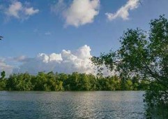 豫园股份首亏背后：风险筑底蓄势，转型修复可期