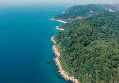 豫园股份首亏背后：风险筑底蓄势，转型修复可期